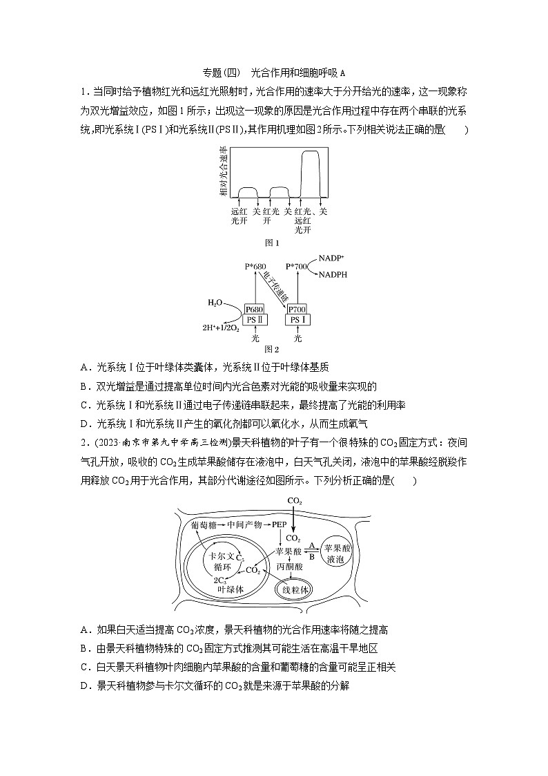 专题(四)　光合作用和细胞呼吸A（含解析）-2024年高考生物二轮复习强化练第1页