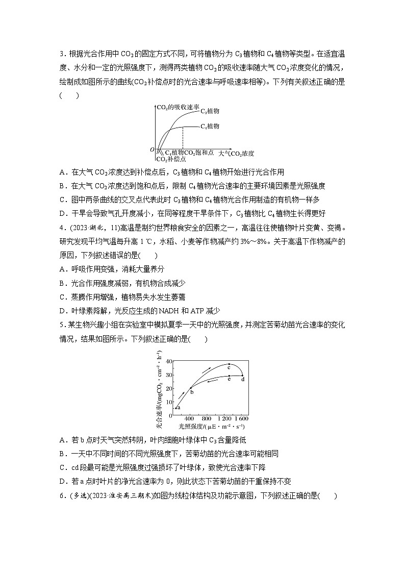 专题(四)　光合作用和细胞呼吸A（含解析）-2024年高考生物二轮复习强化练第2页