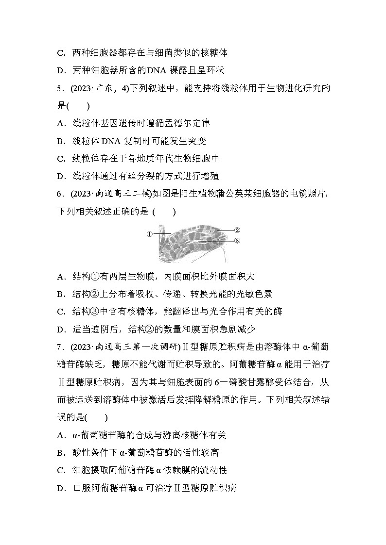 专题(一)　细胞的结构（含解析）-2024年高考生物二轮复习强化练02