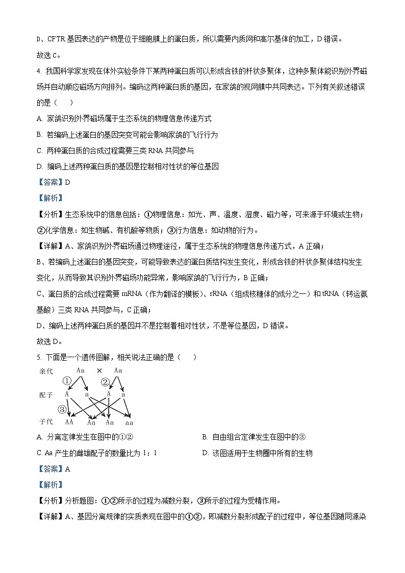 福建省漳州市华安县第一中学2023-2024学年高一下学期3月月考生物试题（解析版）第3页