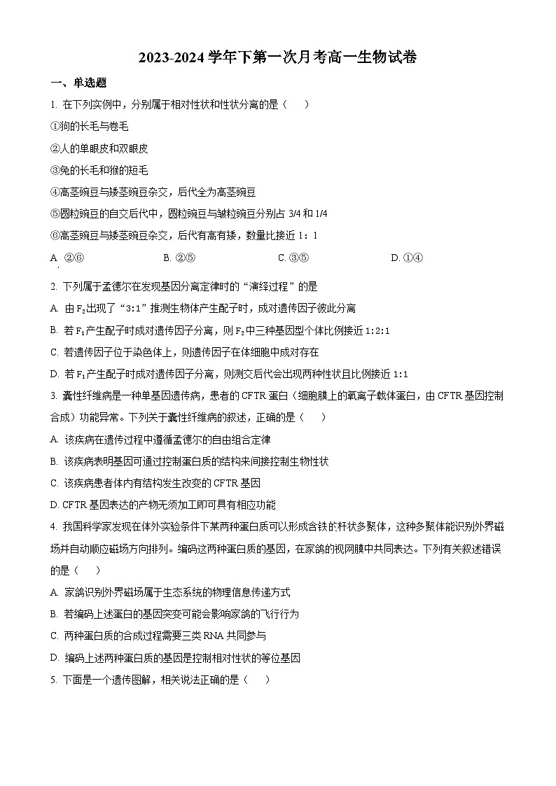 福建省漳州市华安县第一中学2023-2024学年高一下学期3月月考生物试题（原卷版）第1页