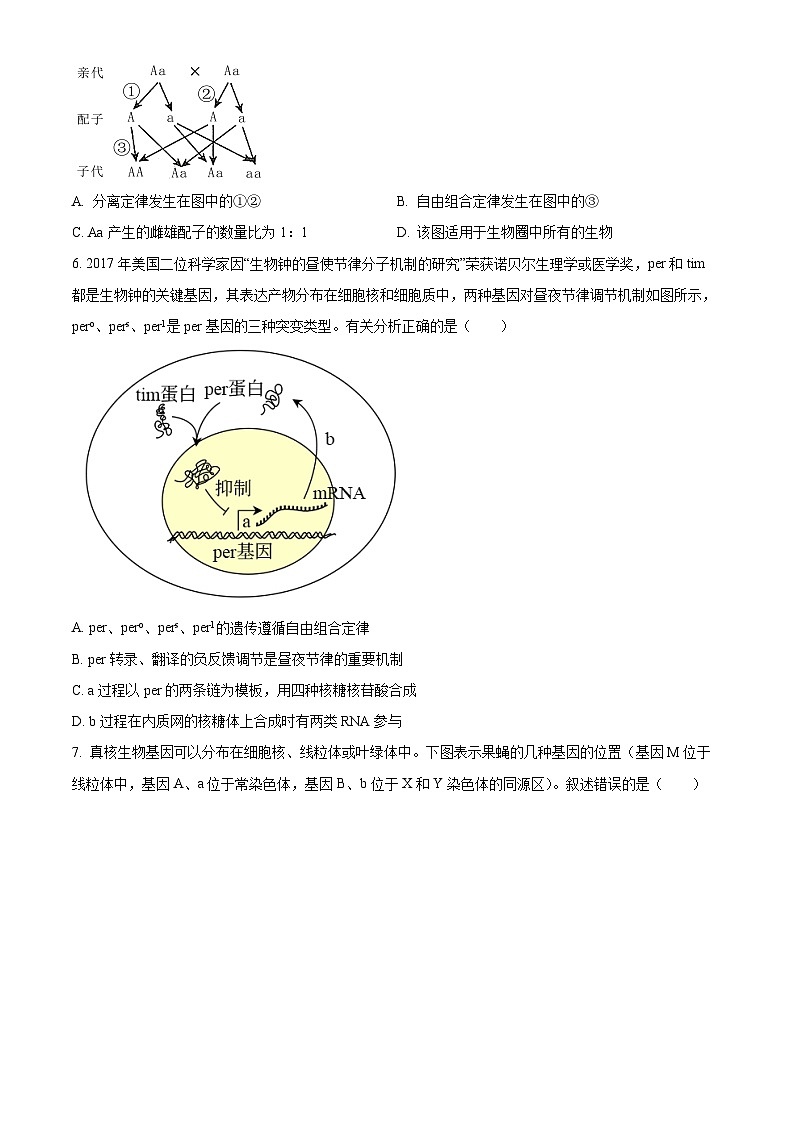 福建省漳州市华安县第一中学2023-2024学年高一下学期3月月考生物试题（原卷版）第2页