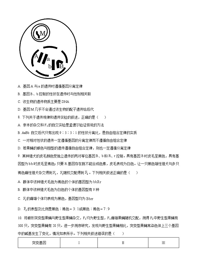 福建省漳州市华安县第一中学2023-2024学年高一下学期3月月考生物试题（原卷版）第3页