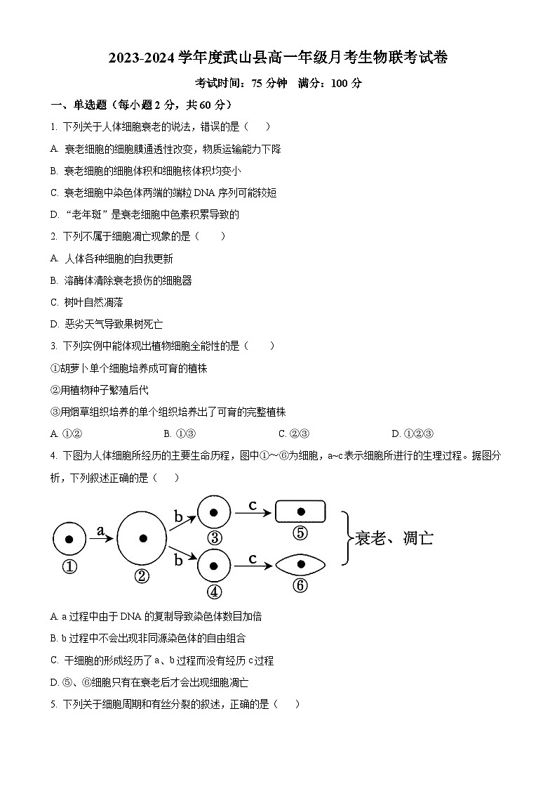 甘肃省天水市武山县第一高级中学2023-2024学年高一下学期3月月考生物联考试卷（原卷版）第1页