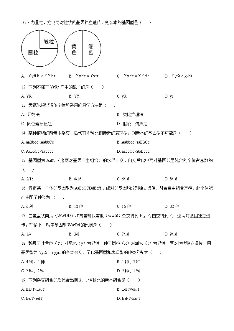 甘肃省天水市武山县第一高级中学2023-2024学年高一下学期3月月考生物联考试卷（原卷版）第3页