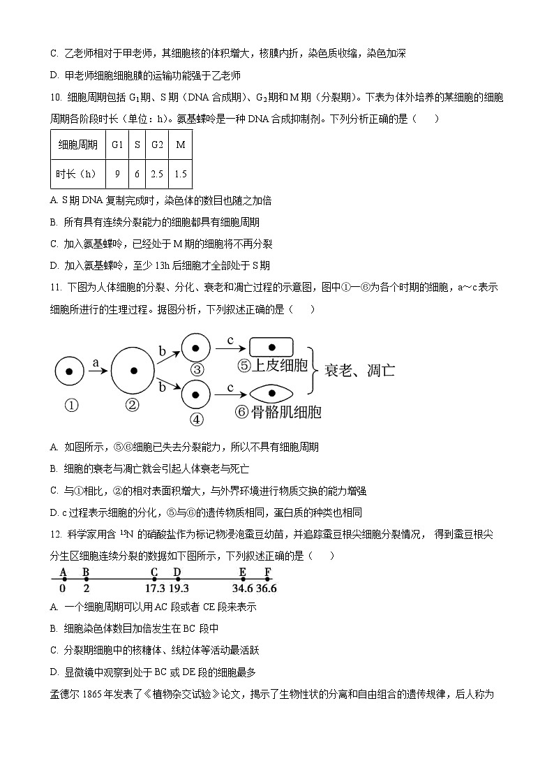 湖北省十堰市第一中学2023-2024学年高一下学期3月月考生物试卷（原卷版）第3页