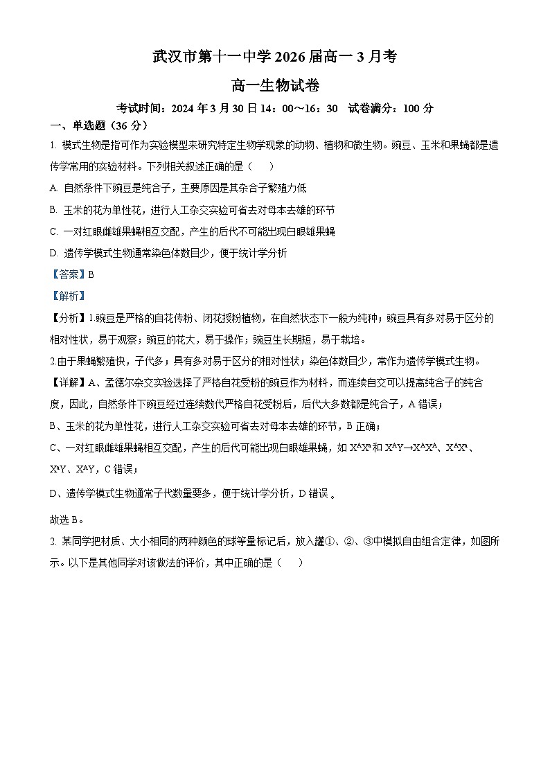 湖北省武汉市第十一中学2023—2024学年高一下学期3月考试生物试题（原卷版+解析版）01