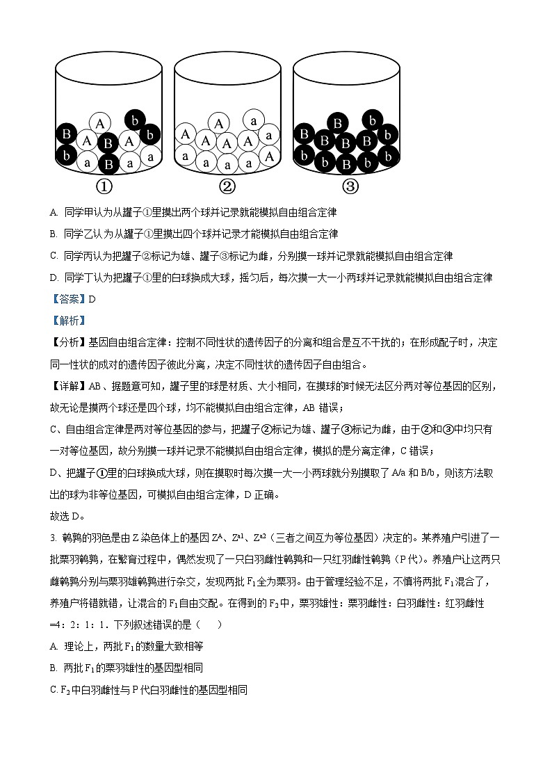 湖北省武汉市第十一中学2023—2024学年高一下学期3月考试生物试题（原卷版+解析版）02