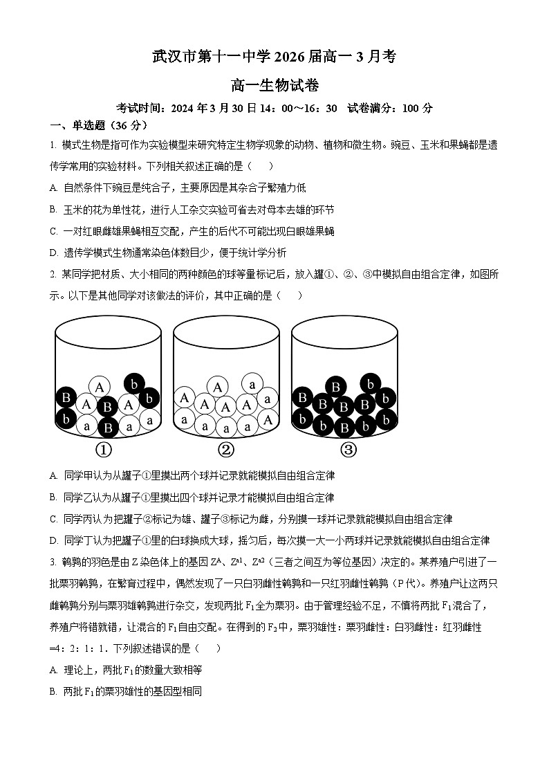 湖北省武汉市第十一中学2023—2024学年高一下学期3月考试生物试题（原卷版+解析版）01