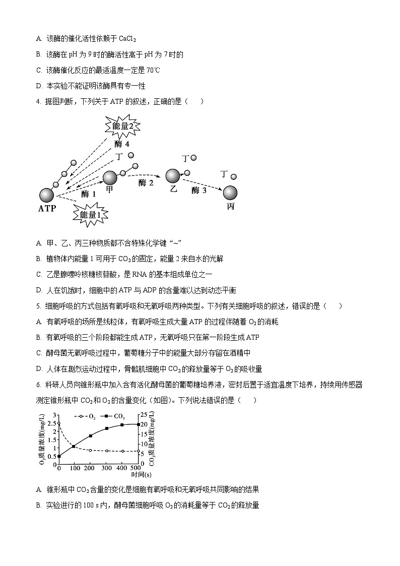 山西省朔州市怀仁市怀仁一中高一联考2023-2024学年高一下学期3月月考生物试题（原卷版）第2页