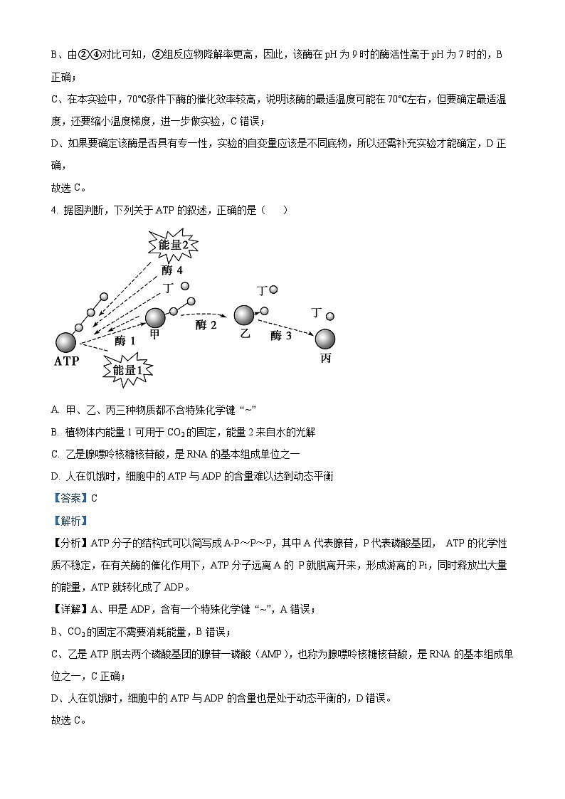 山西省朔州市怀仁市怀仁一中高一联考2023-2024学年高一下学期3月月考生物试题（解析版）第3页