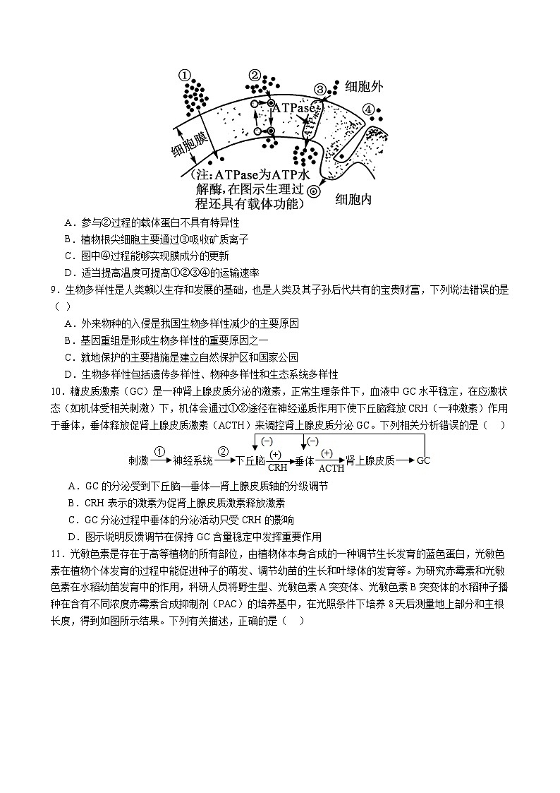 信息必刷卷04（福建专用）（考试版）第3页