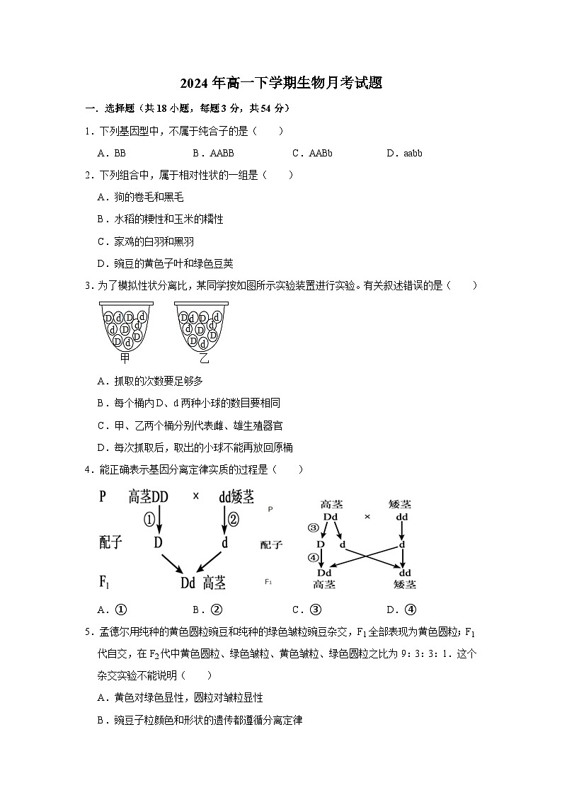 湖南省岳阳市岳阳县第一中学2023-2024学年高一下学期3月月考生物试题（Word版附答案）01