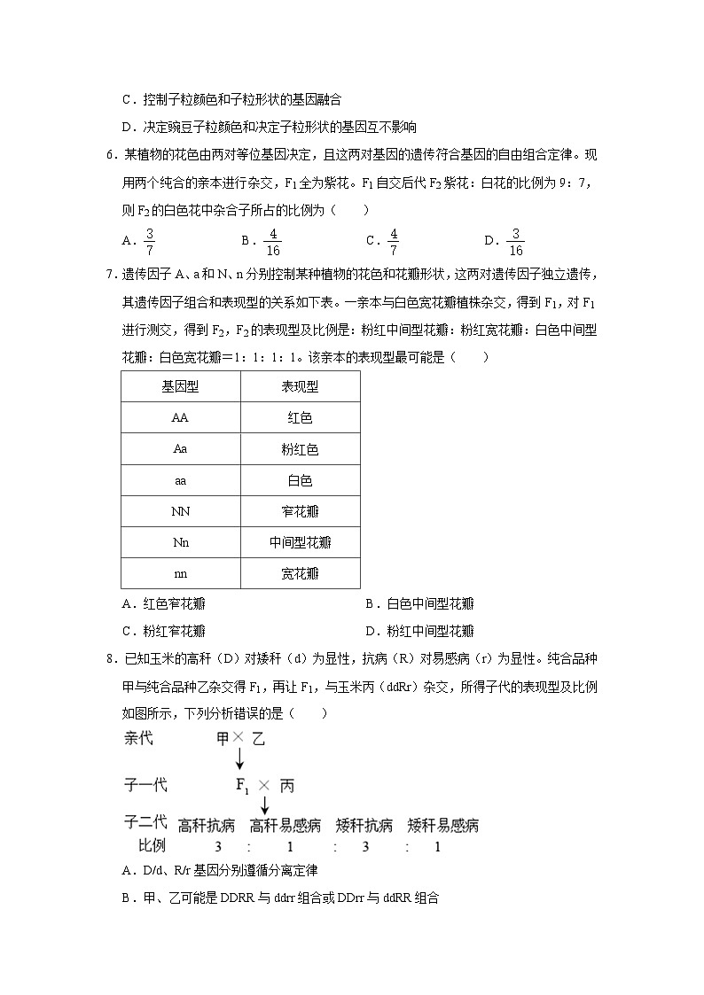 湖南省岳阳市岳阳县第一中学2023-2024学年高一下学期3月月考生物试题（Word版附答案）02