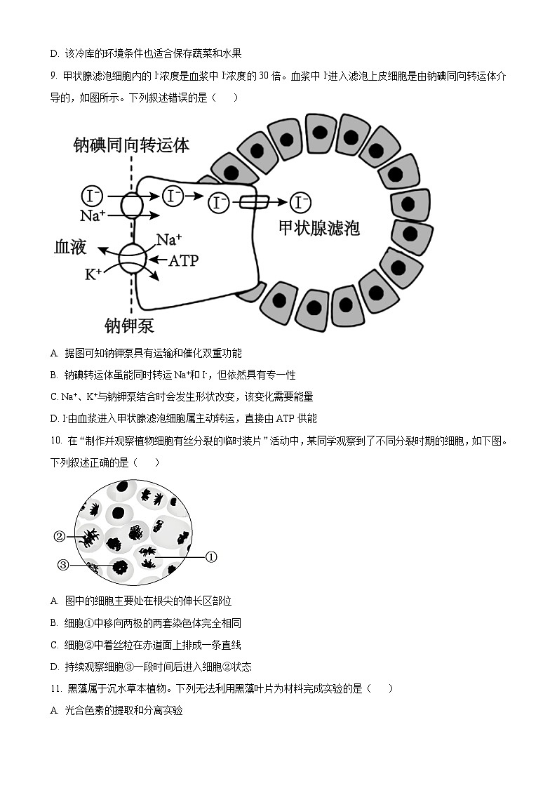 浙江省杭州市精诚联盟2023-2024学年高一下学期3月联考生物试题（Word版附解析）03