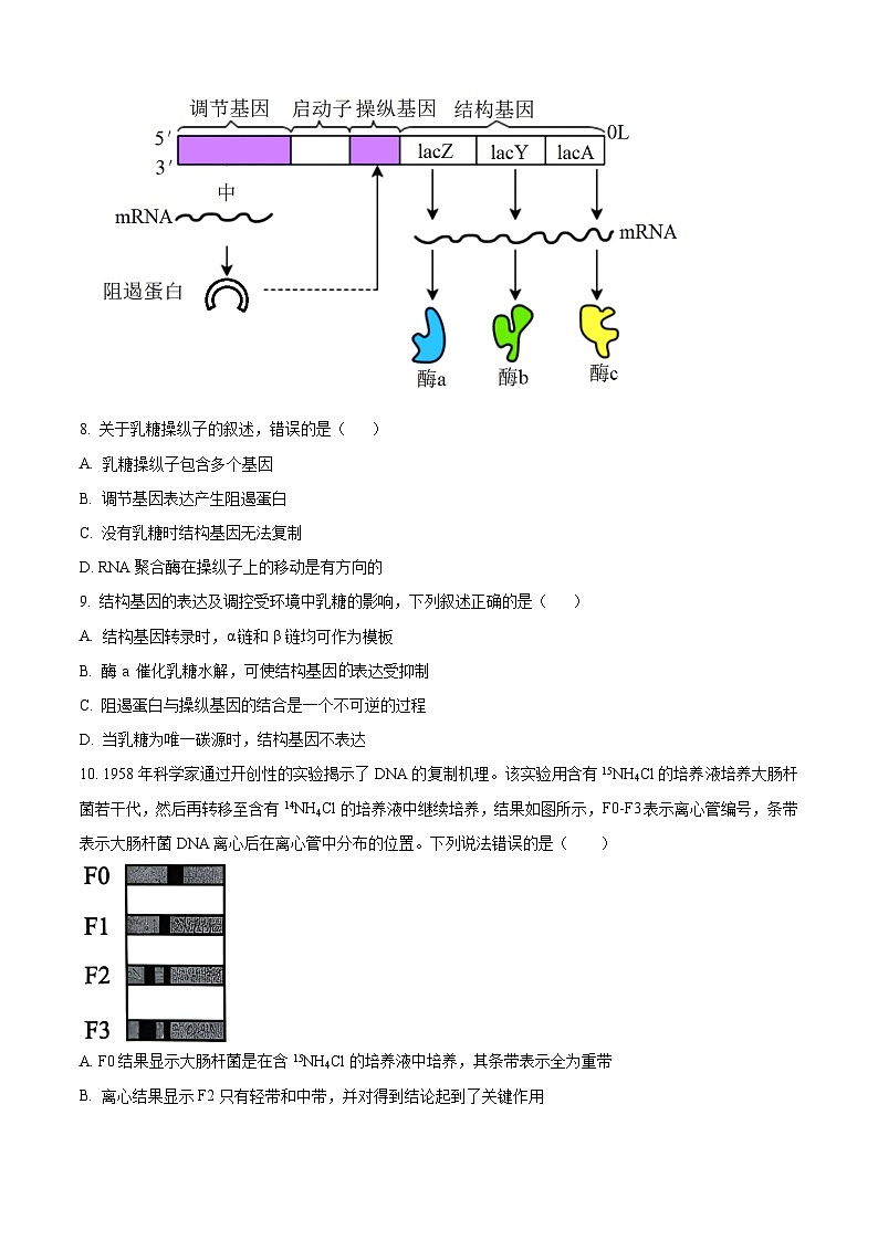 浙江省“9+1高中联盟”2024届高三下学期3月联考生物试题 Word版无答案第3页