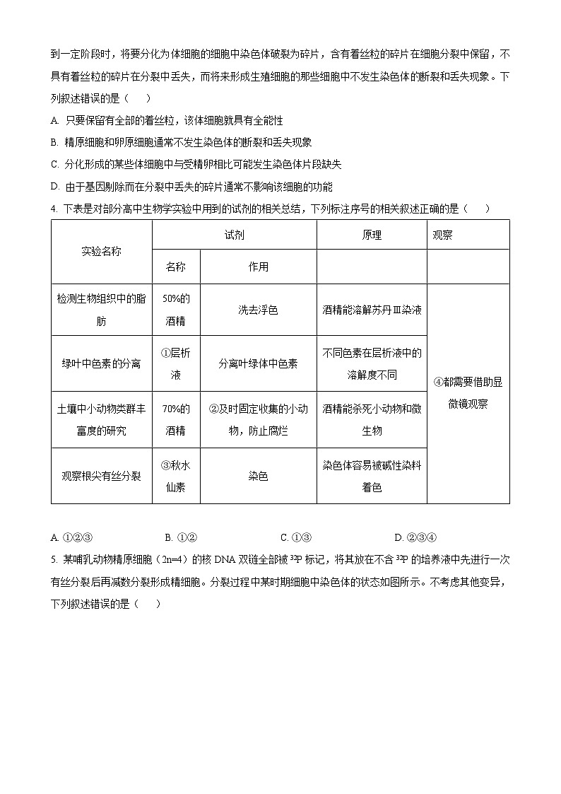安徽省名校教研联盟2024届高三下学期3月联考生物试卷  Word版无答案第2页