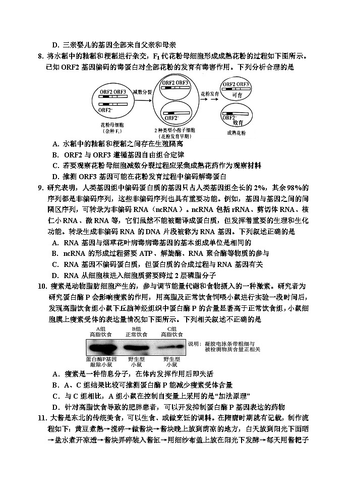 吉林省吉林市2024届高三下学期3月第三次模拟考试  生物第3页