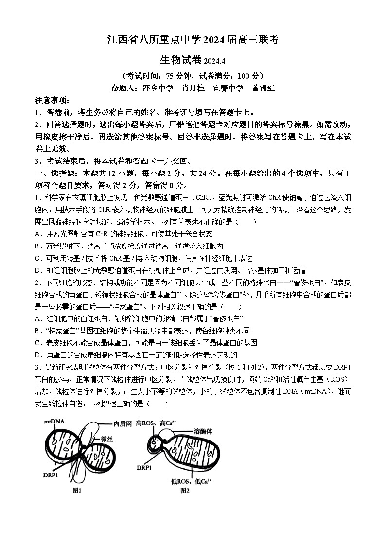 2024届江西省八所重点中学高三联考生物试题第1页