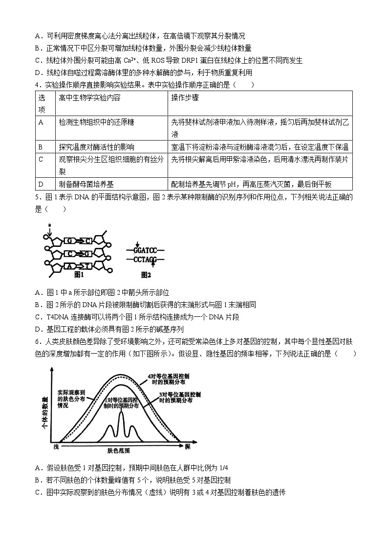 2024届江西省八所重点中学高三联考生物试题第2页