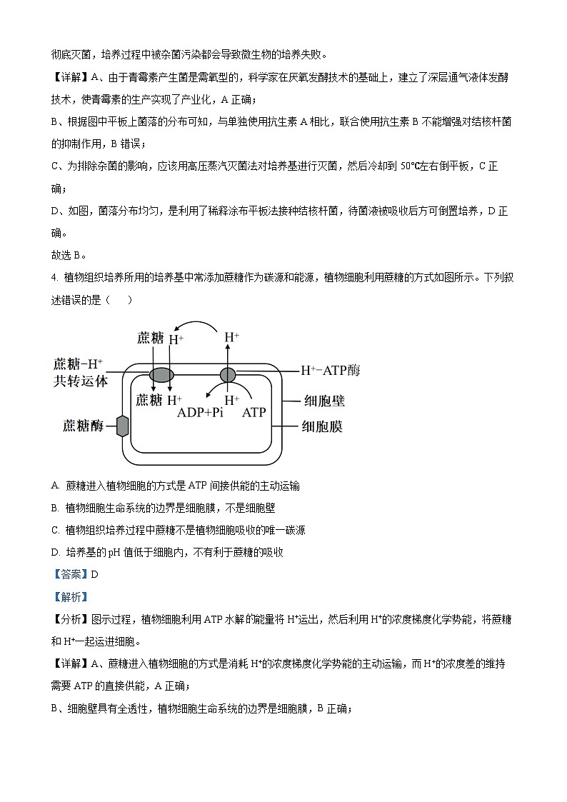 广西省2023-2024学年高二下学期3月联考生物试卷（原卷版+解析版）03