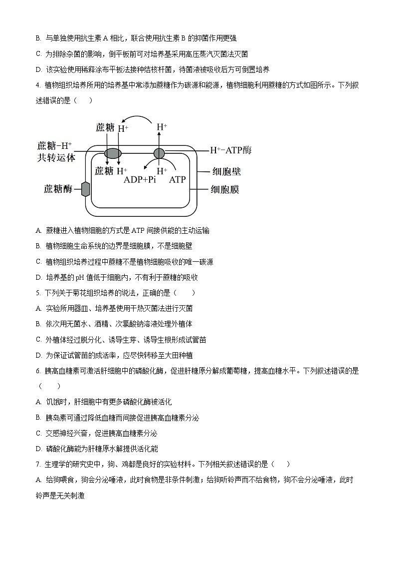广西省2023-2024学年高二下学期3月联考生物试卷（原卷版+解析版）02