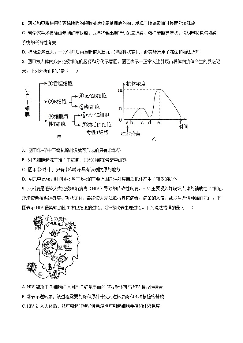 广西省2023-2024学年高二下学期3月联考生物试卷（原卷版+解析版）03
