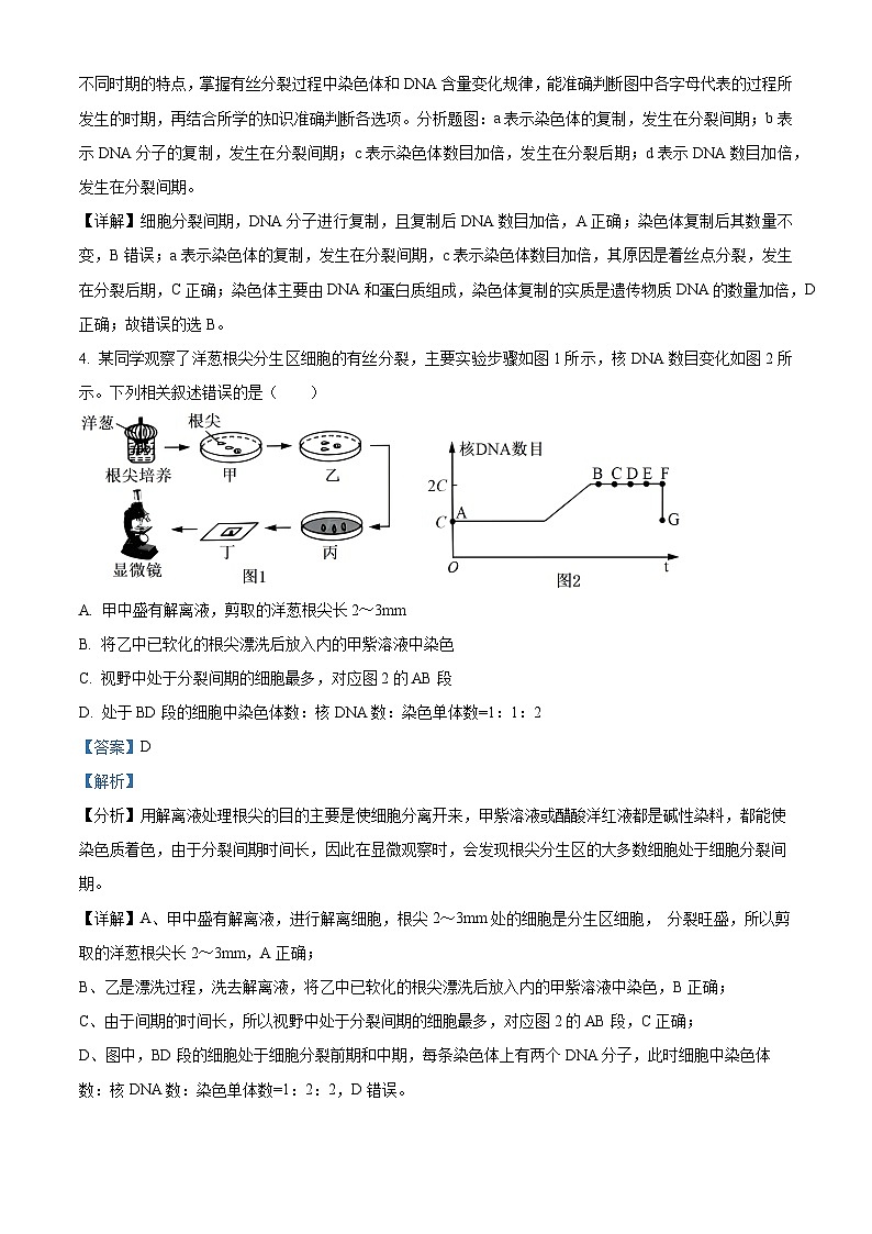 湖北省咸宁市崇阳县第二高级中学2023-2024学年高一下学期3月月考生物试题（解析版）第3页