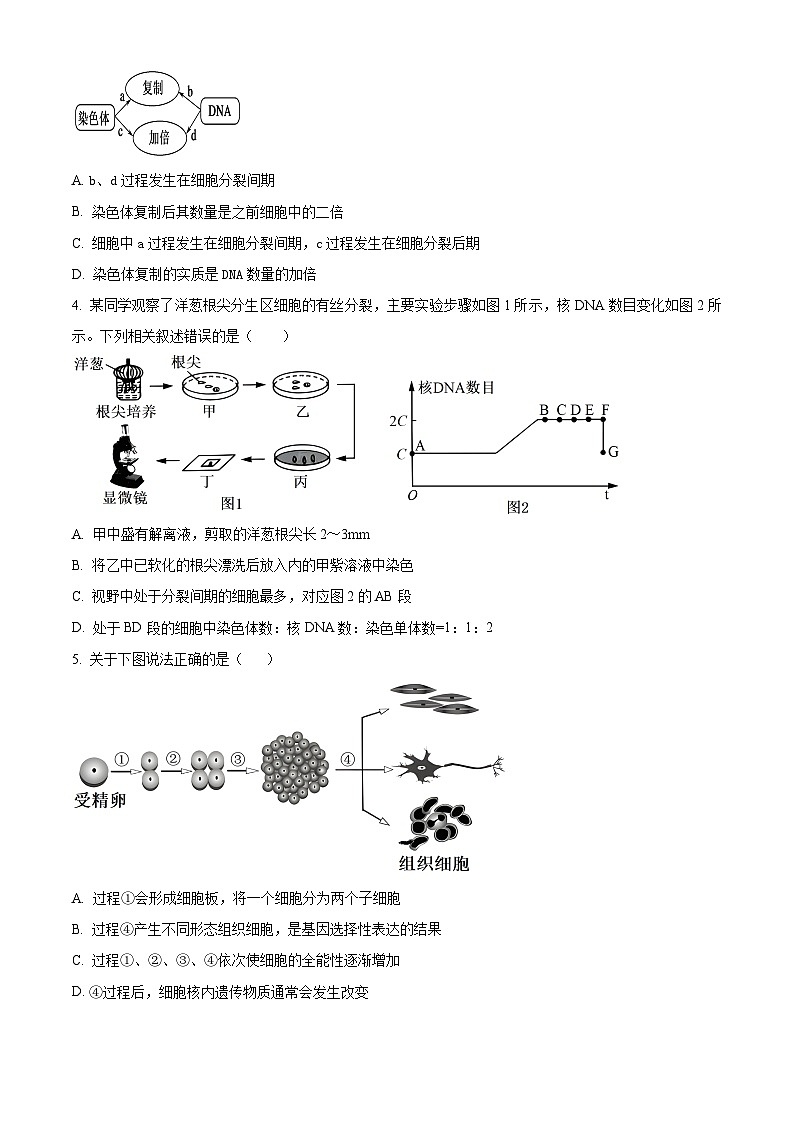 湖北省咸宁市崇阳县第二高级中学2023-2024学年高一下学期3月月考生物试题（原卷版）第2页