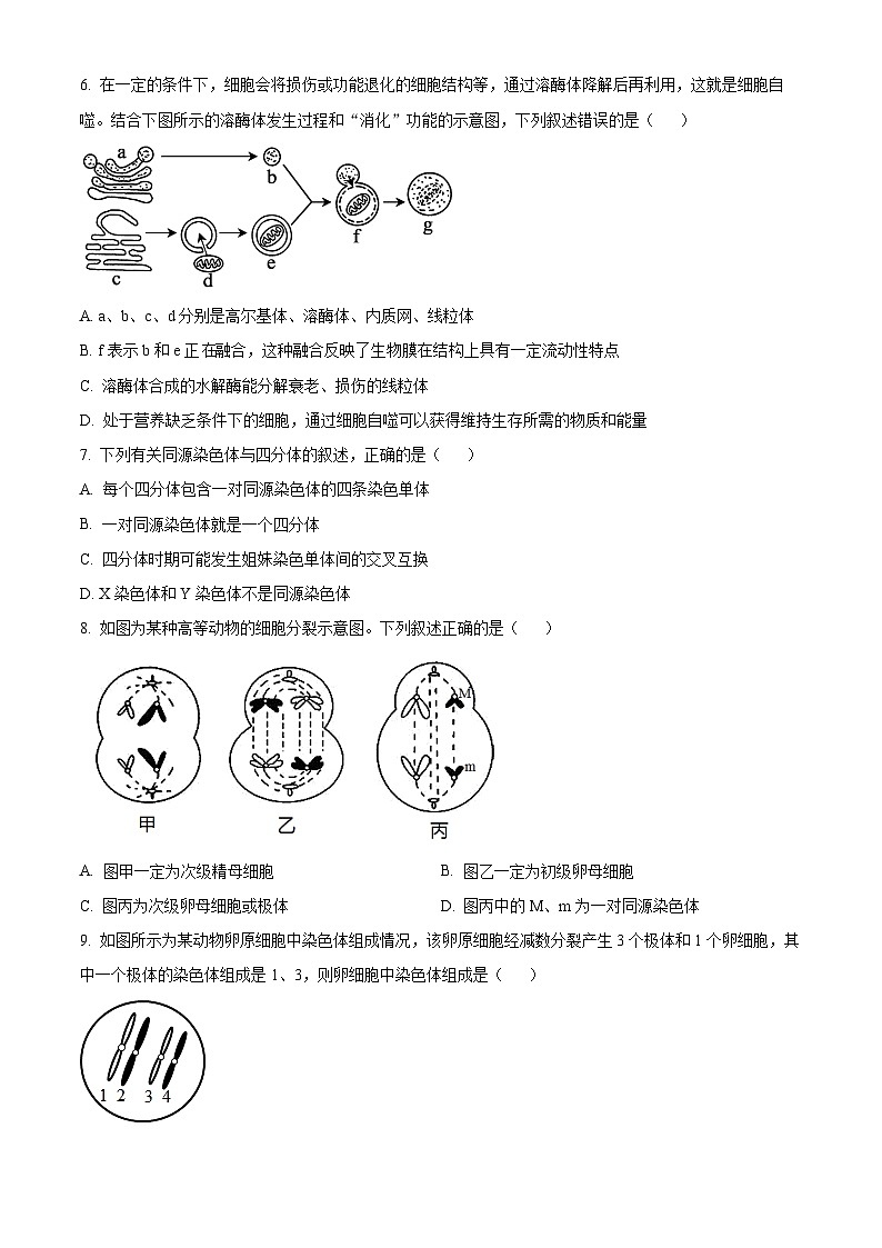 湖北省咸宁市崇阳县第二高级中学2023-2024学年高一下学期3月月考生物试题（原卷版）第3页