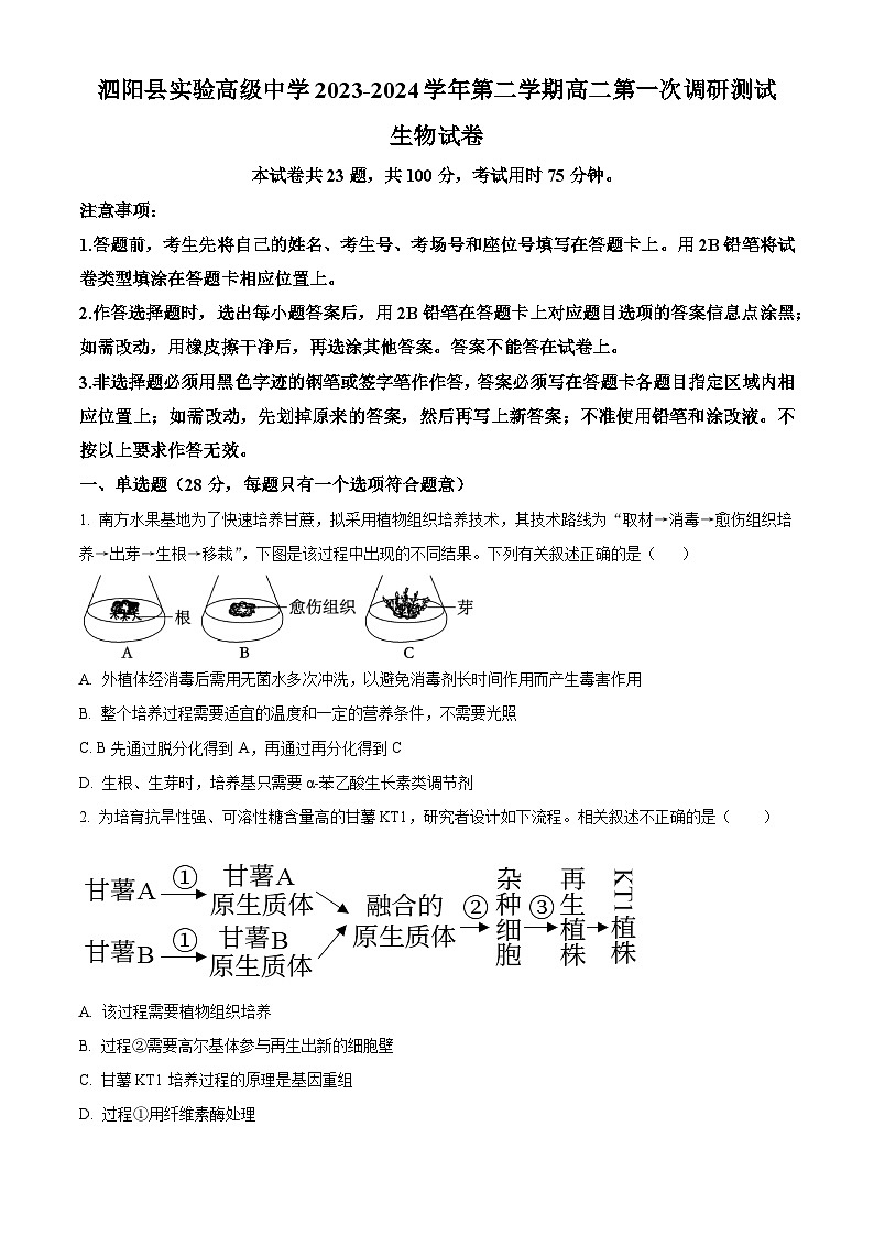 江苏省宿迁市泗阳县实验高级中学2023-2024学年高二下学期3月月考生物试题（原卷版）第1页
