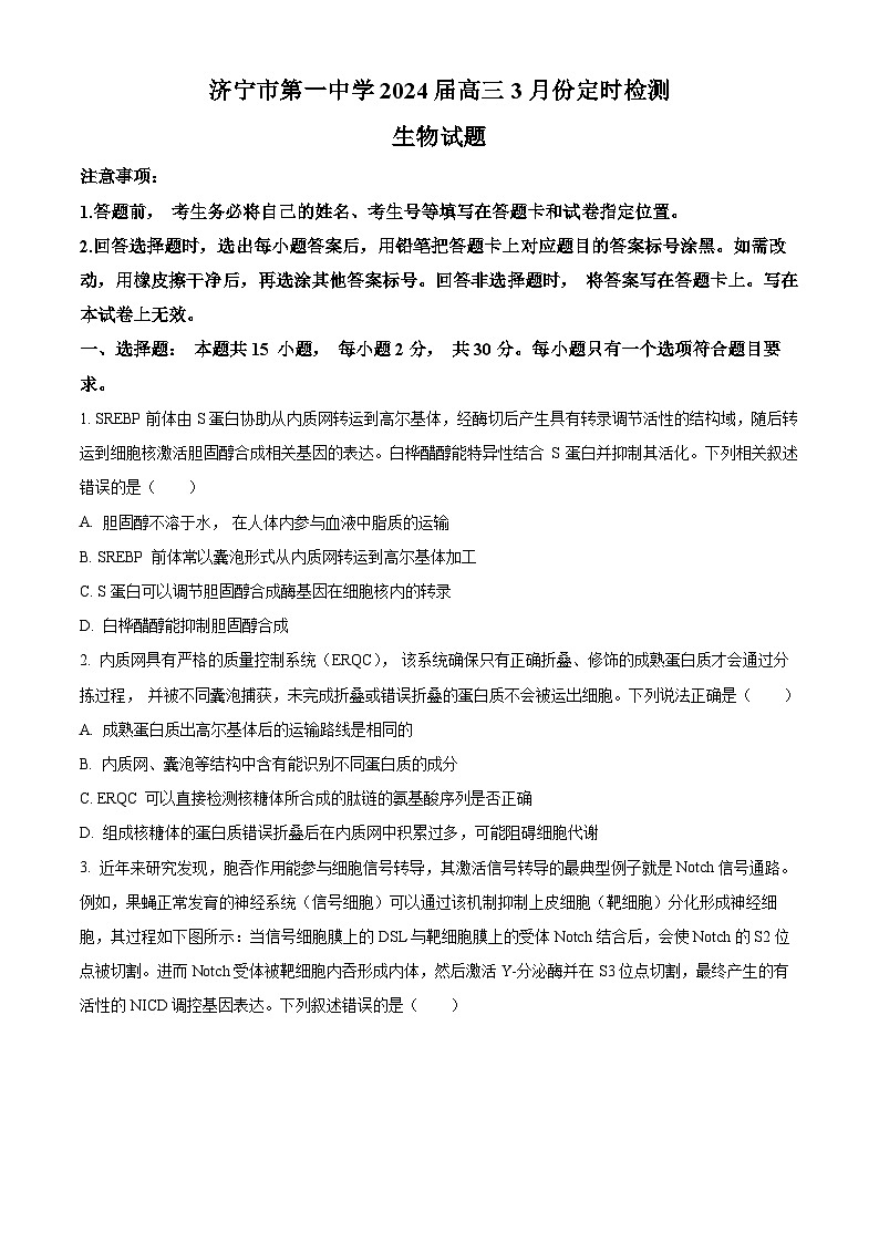 山东省济宁市任城区济宁市第一中学2023-2024学年高三下学期3月月考生物试题（原卷版+解析版）01
