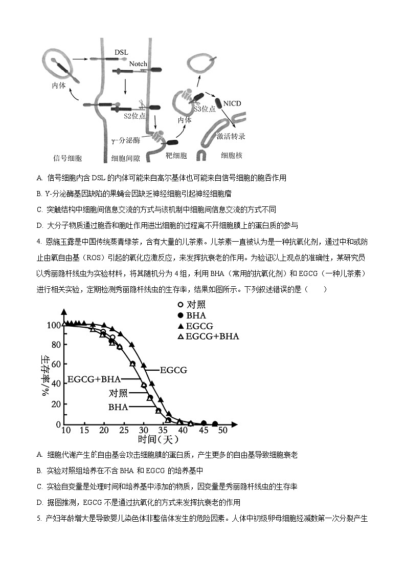 山东省济宁市任城区济宁市第一中学2023-2024学年高三下学期3月月考生物试题（原卷版+解析版）02