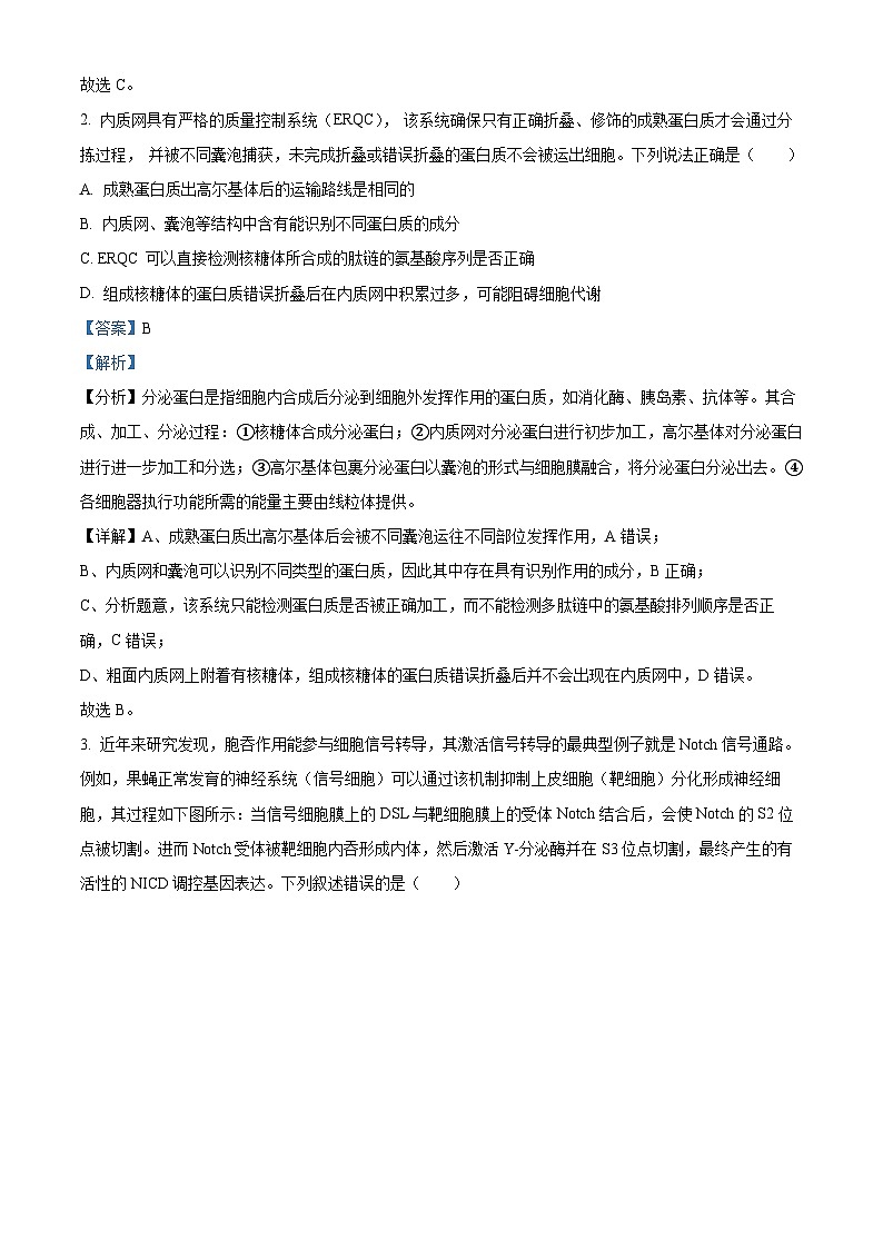 山东省济宁市任城区济宁市第一中学2023-2024学年高三下学期3月月考生物试题（原卷版+解析版）02