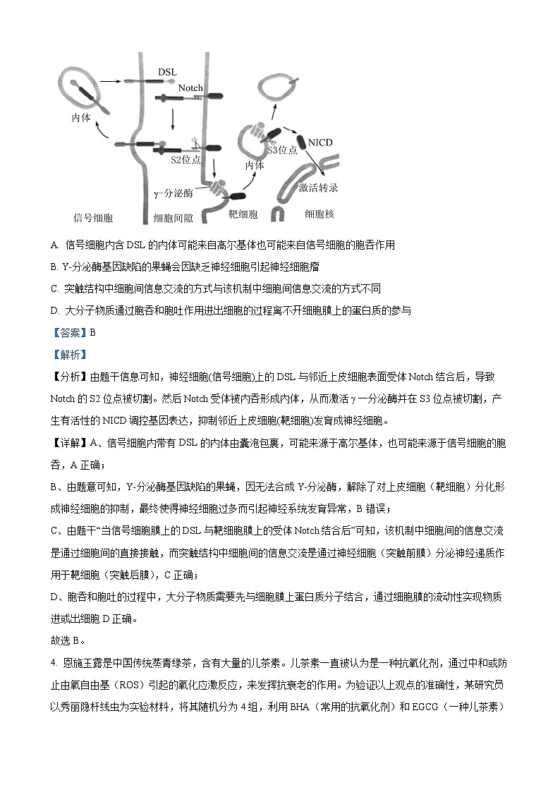 山东省济宁市任城区济宁市第一中学2023-2024学年高三下学期3月月考生物试题（原卷版+解析版）03