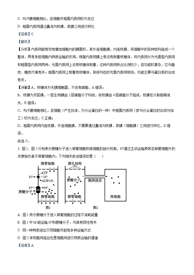 2024衡阳高三下学期二模生物试题含解析02
