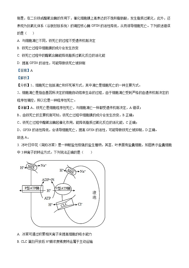 2024长沙长郡中学高三下学期二模生物试题含解析02