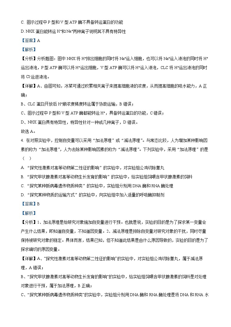 2024长沙长郡中学高三下学期二模生物试题含解析03