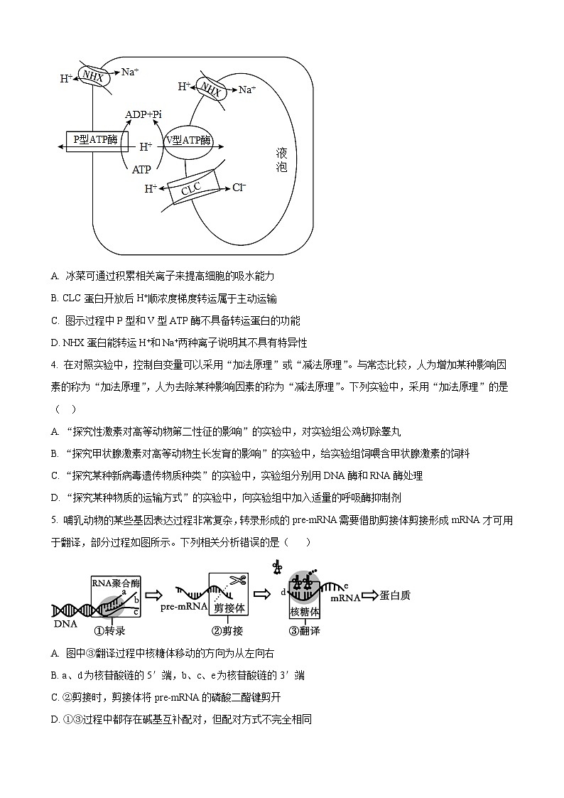 2024长沙长郡中学高三下学期二模生物试题含解析02