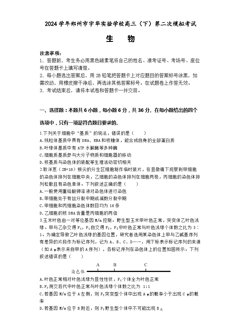 2024郑州宇华实验学校高三下学期二模试题生物含解析01