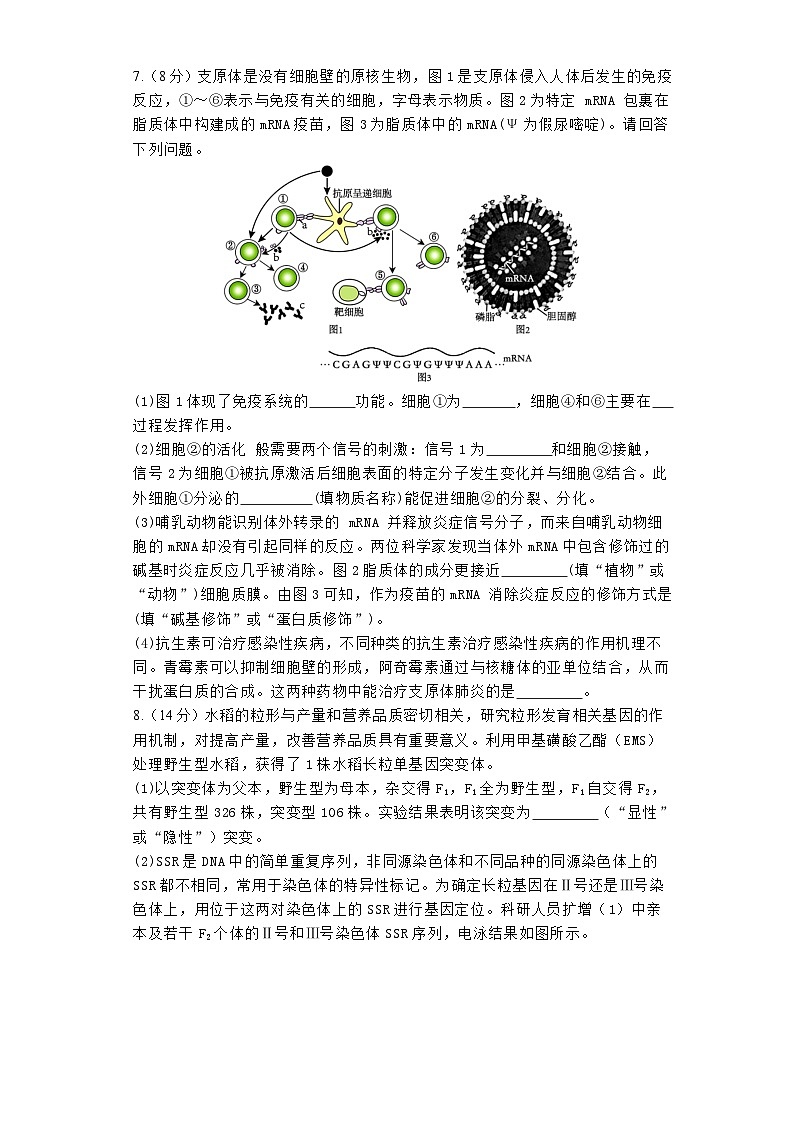 2024郑州宇华实验学校高三下学期二模试题生物含解析03