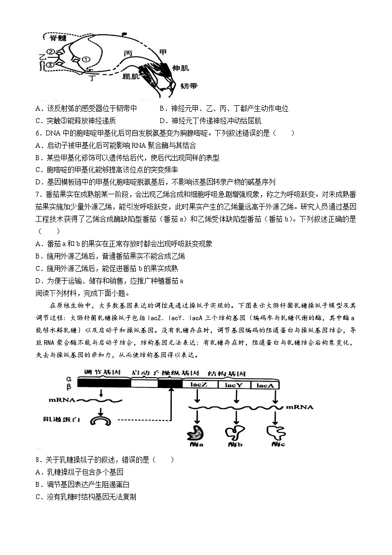 2024浙江省91高中联盟高三下学期3月高考模拟卷生物含答案第2页