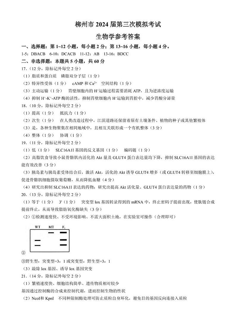 2024柳州高三下学期第三次模拟考试（柳州三模）生物PDF版含答案01