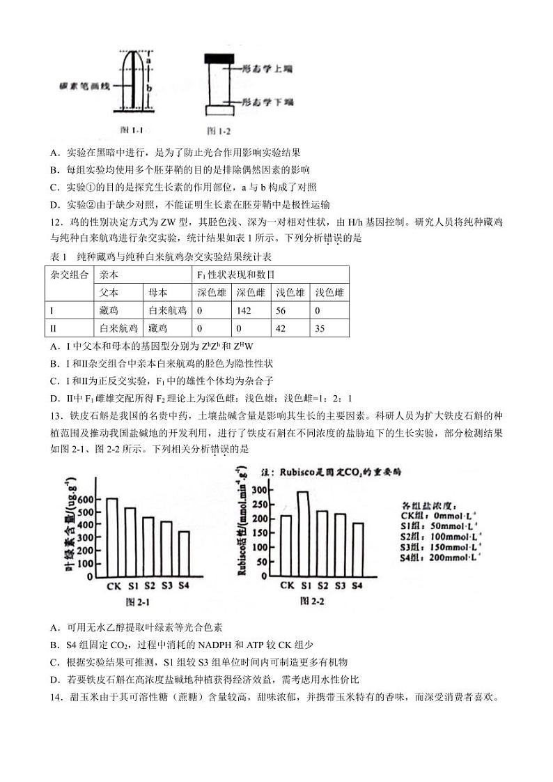 2024柳州高三下学期第三次模拟考试（柳州三模）生物PDF版含答案03