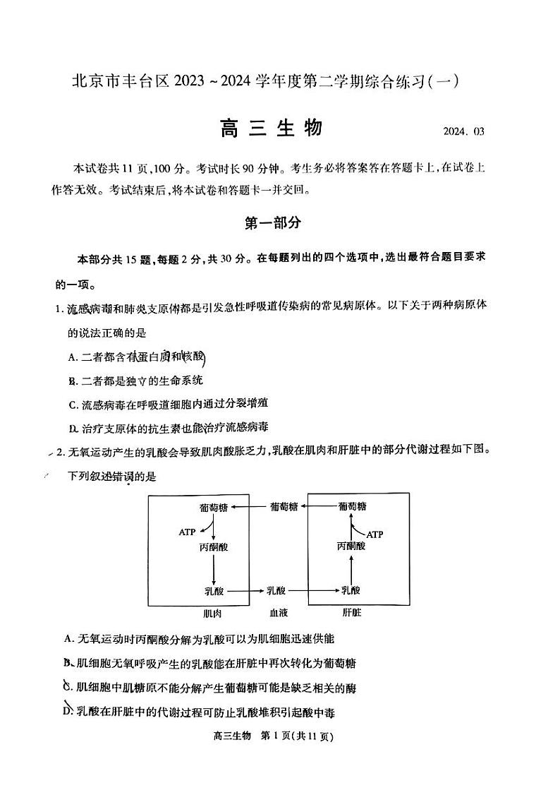 2024北京丰台区高三下学期一模考试生物PDF版含答案第1页