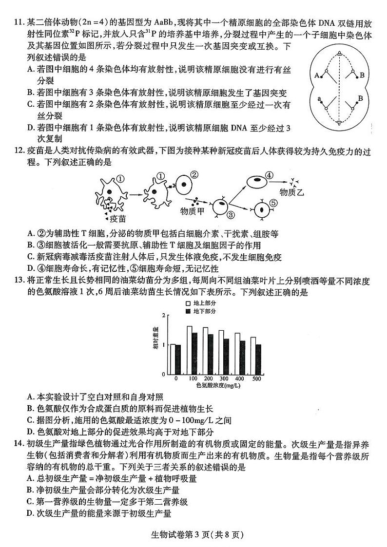 2024届东北三省三校高三二模-生物试题及答案03