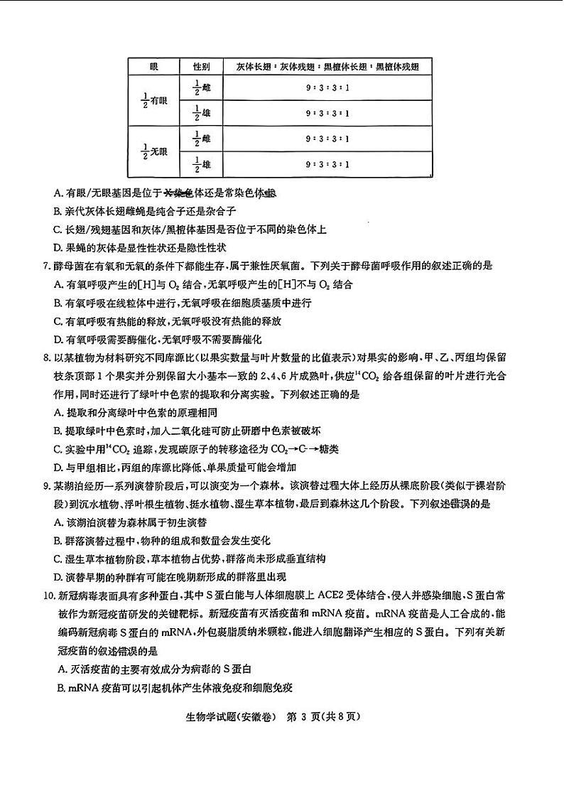 2024届华大新高考联盟高三下学期4月联考-生物试题及答案第3页