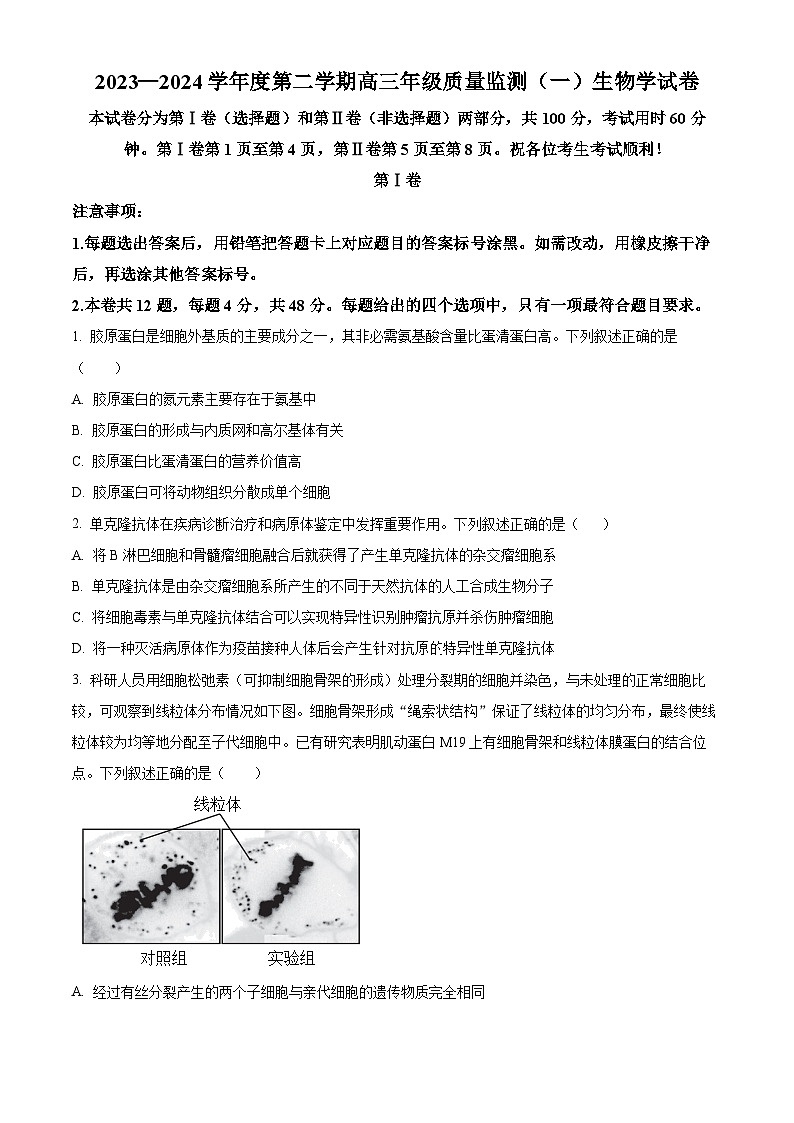 精品解析：2024届天津市南开区高三下学期第一次质量调查生物试题（原卷版）第1页