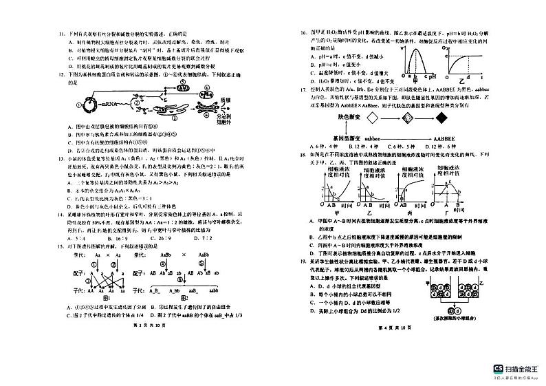 江苏省淮阴中学2023-2024学年高一下学期3月阶段性考试 生物 PDF版含答案第2页