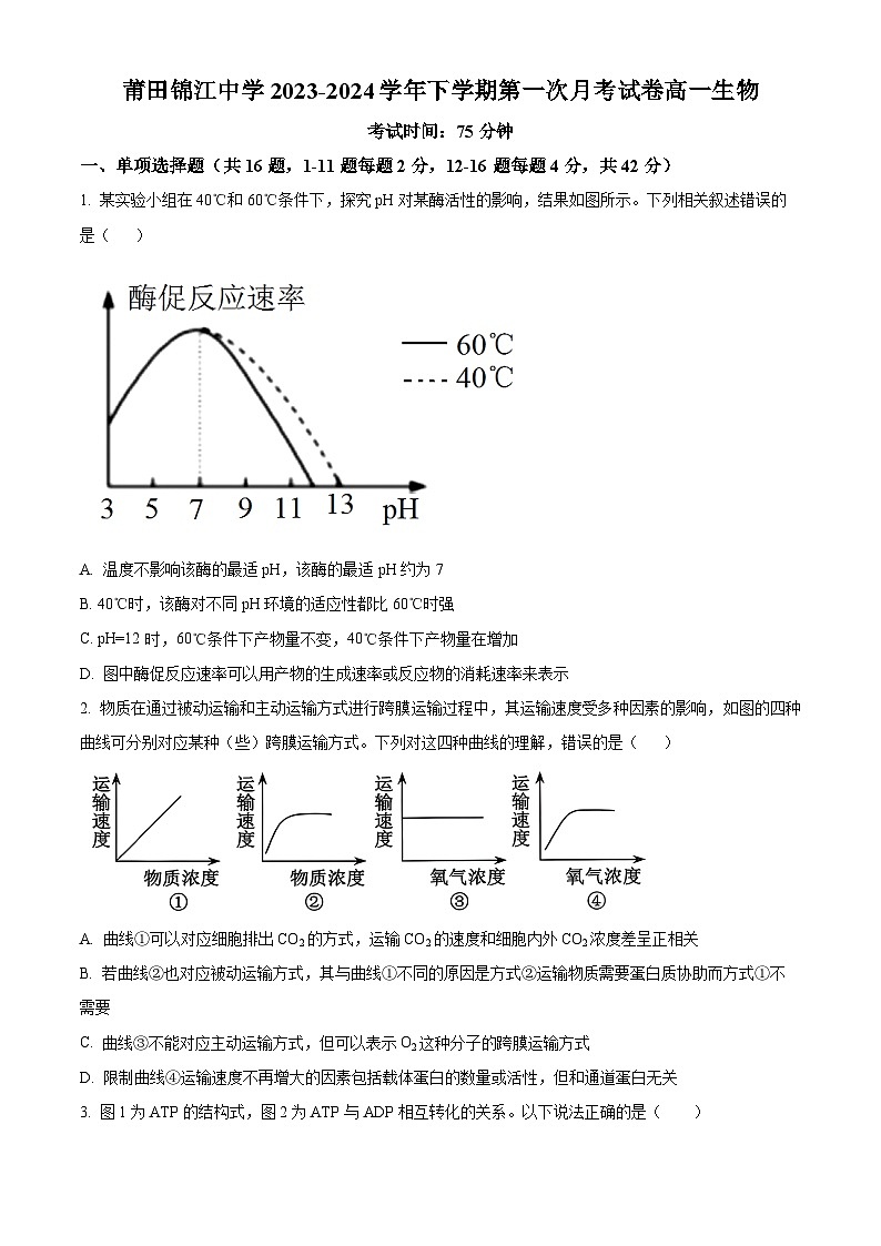 福建省莆田锦江中学2023-2024学年高一下学期3月月考生物试题（原卷版+解析版）01